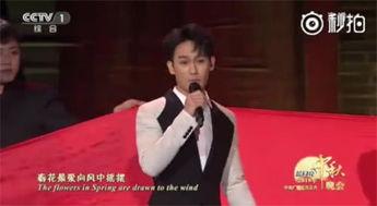 袁弘爆料唱歌的是谁视频,神秘歌手身份大曝光！  第1张