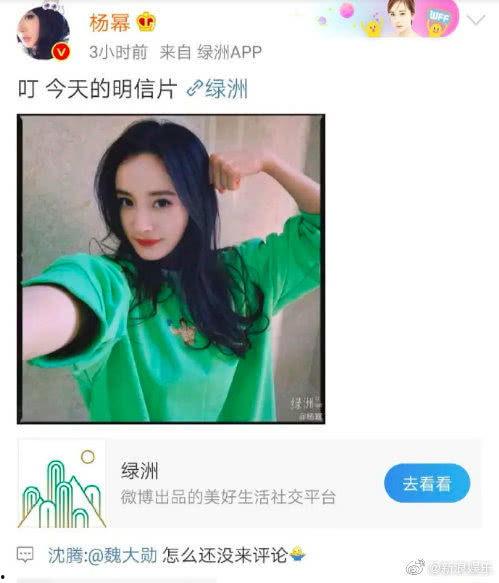 网曝吃瓜免费在线,网曝吃瓜免费在线，揭秘娱乐圈幕后真相  第2张